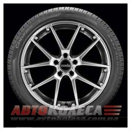 Pirelli Cinturato P7 205/55 R17 91V